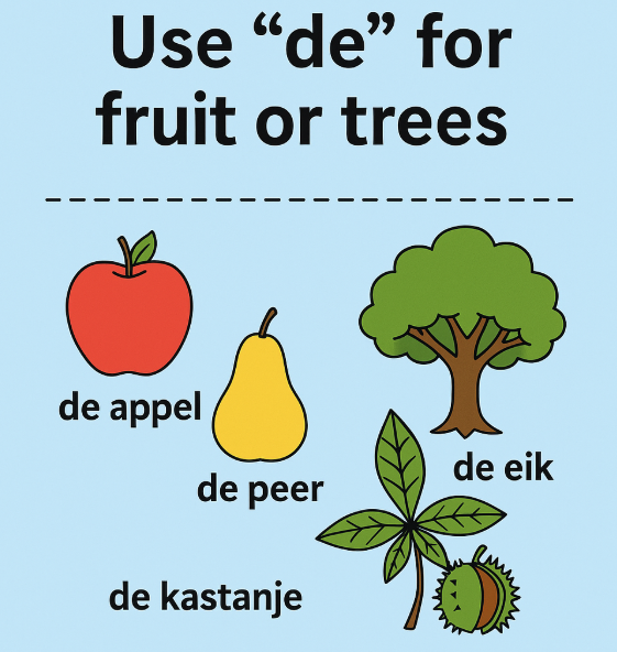 Infographic showing examples of the Dutch article de used for fruit and trees, including de appel, de peer, de eik and de kastanje.