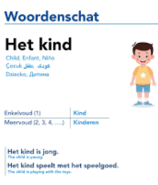 Example-using-article-lidwoord-Het-Mijnnt2.nl